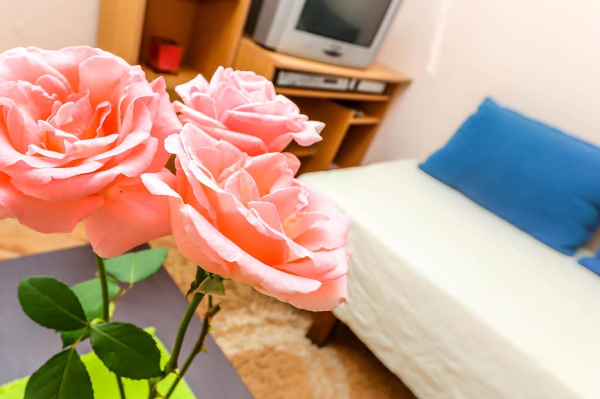 Apartments Zeko Donji Morinj Zewnętrze zdjęcie