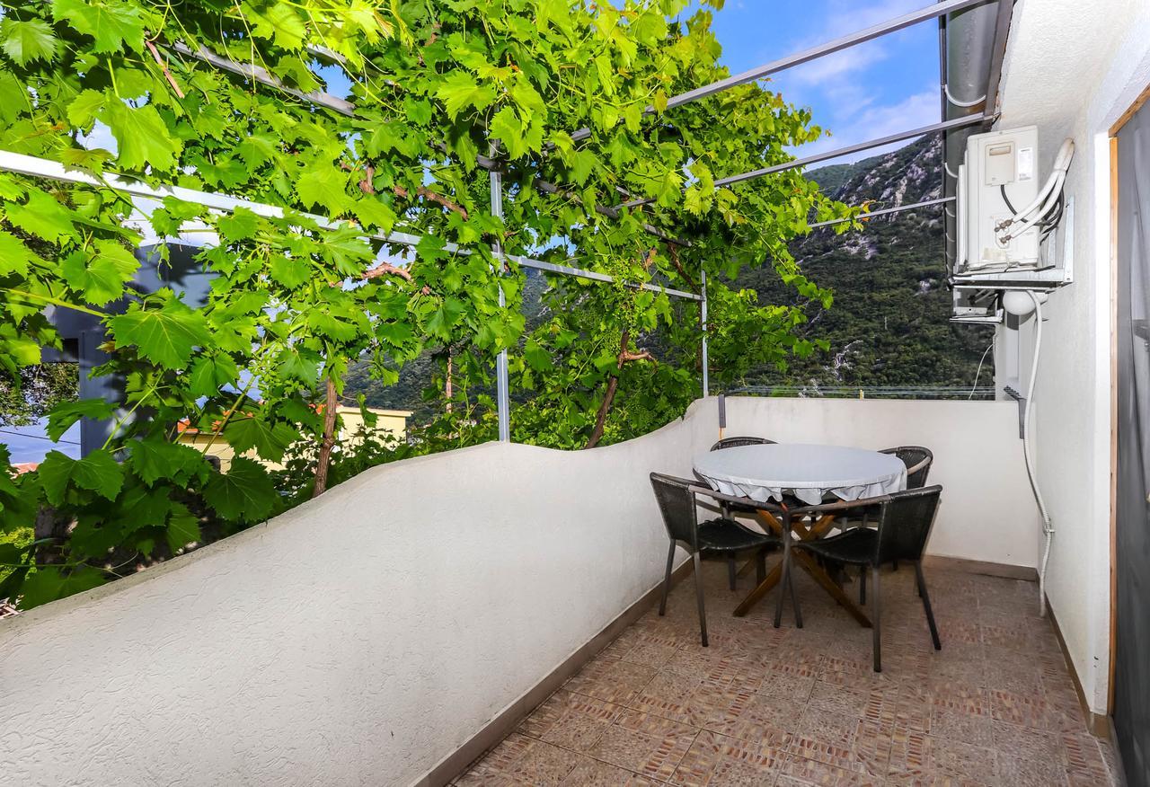 Apartments Zeko Donji Morinj Zewnętrze zdjęcie